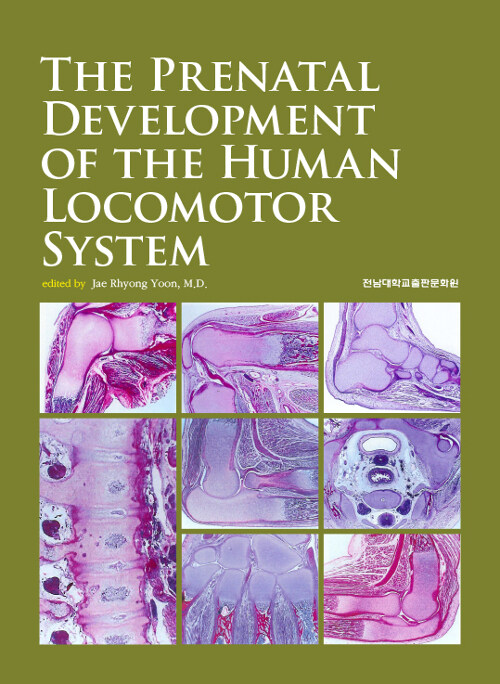 [중고] The Prenatal Development of the Human Locomotor System