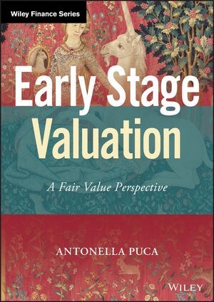 Early Stage Valuation: A Fair Value Perspective (Hardcover)