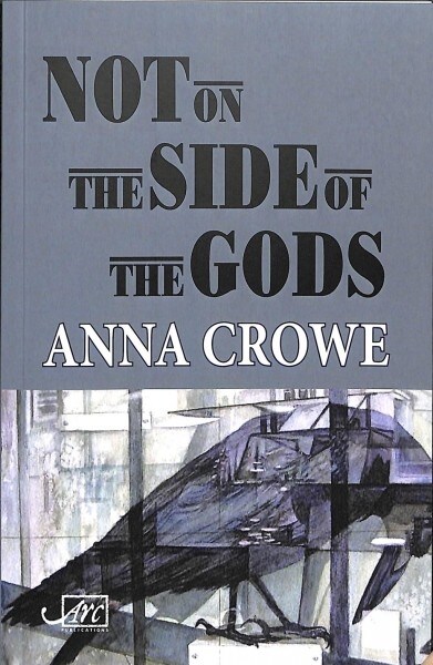 Not on the Side of the Gods (Paperback)