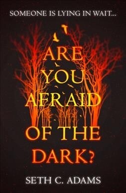 Are You Afraid of the Dark? (Paperback)