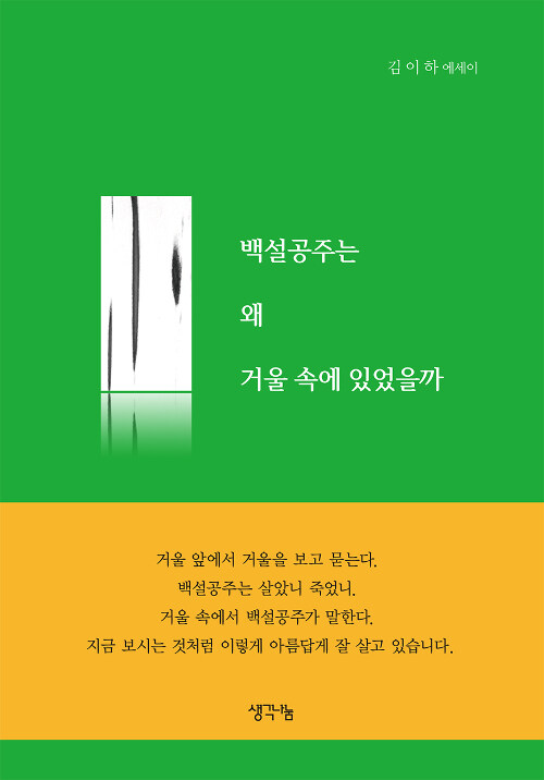 백설공주는 왜 거울 속에 있었을까