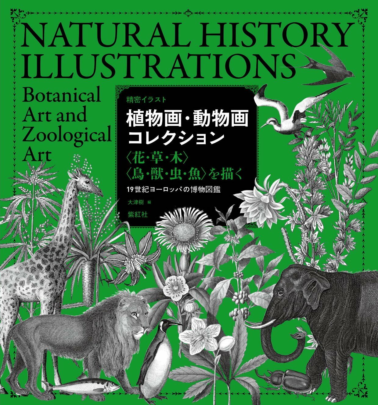 植物畵·動物畵コレクション-〈花·草·木〉〈鳥·獸·蟲·魚〉を描く(精密イラスト)