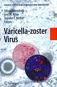 Varicella-Zoster Virus (Paperback, 2010)