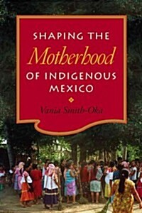 Shaping the Motherhood of Indigenous Mexico (Hardcover)