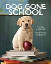 Dog-Gone School (Library Binding)