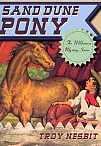 Sand Dune Pony (Paperback, Reprint)