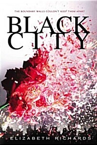 Black City (Paperback, Reprint)