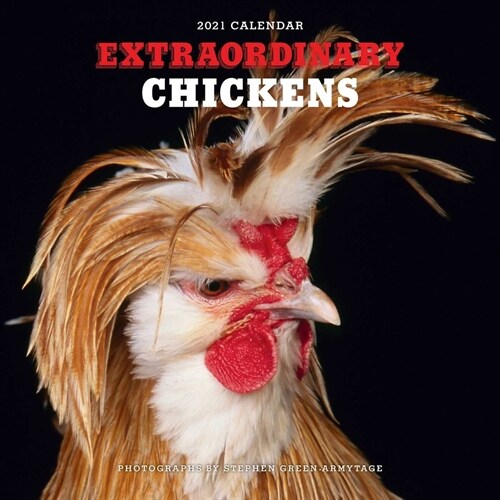 Extraordinary Chickens 2021 Wall Calendar (Wall)
