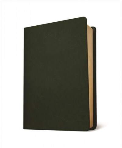 Baylor Annotated Study Bible: New Revised Standart Version (Leather)