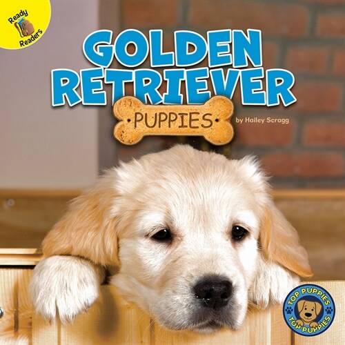 Golden Retriever Puppies (Hardcover)