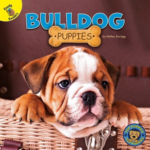 Bulldog Puppies (Hardcover)