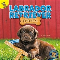 Labrador Retriever Puppies (Paperback)