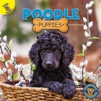 Poodle Puppies (Hardcover)