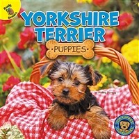 Yorkshire Terrier Puppies (Paperback)