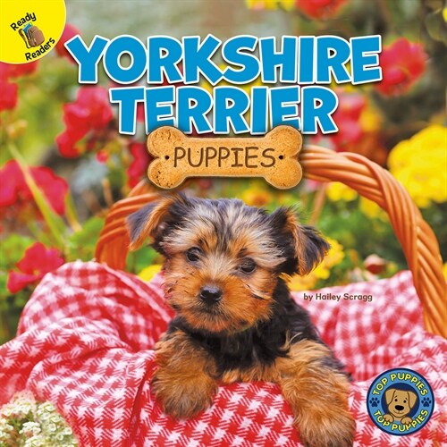 Yorkshire Terrier Puppies (Paperback)