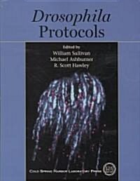 Drosophila Protocols (Paperback)