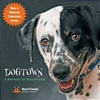 [중고] Dogtown: A Sanctuary for Rescued Dogs (Hardcover)