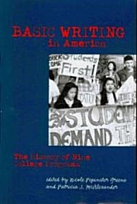 Basic Writing in America (Paperback)