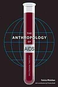 The Anthropology of AIDS: A Global Perspective (Paperback)