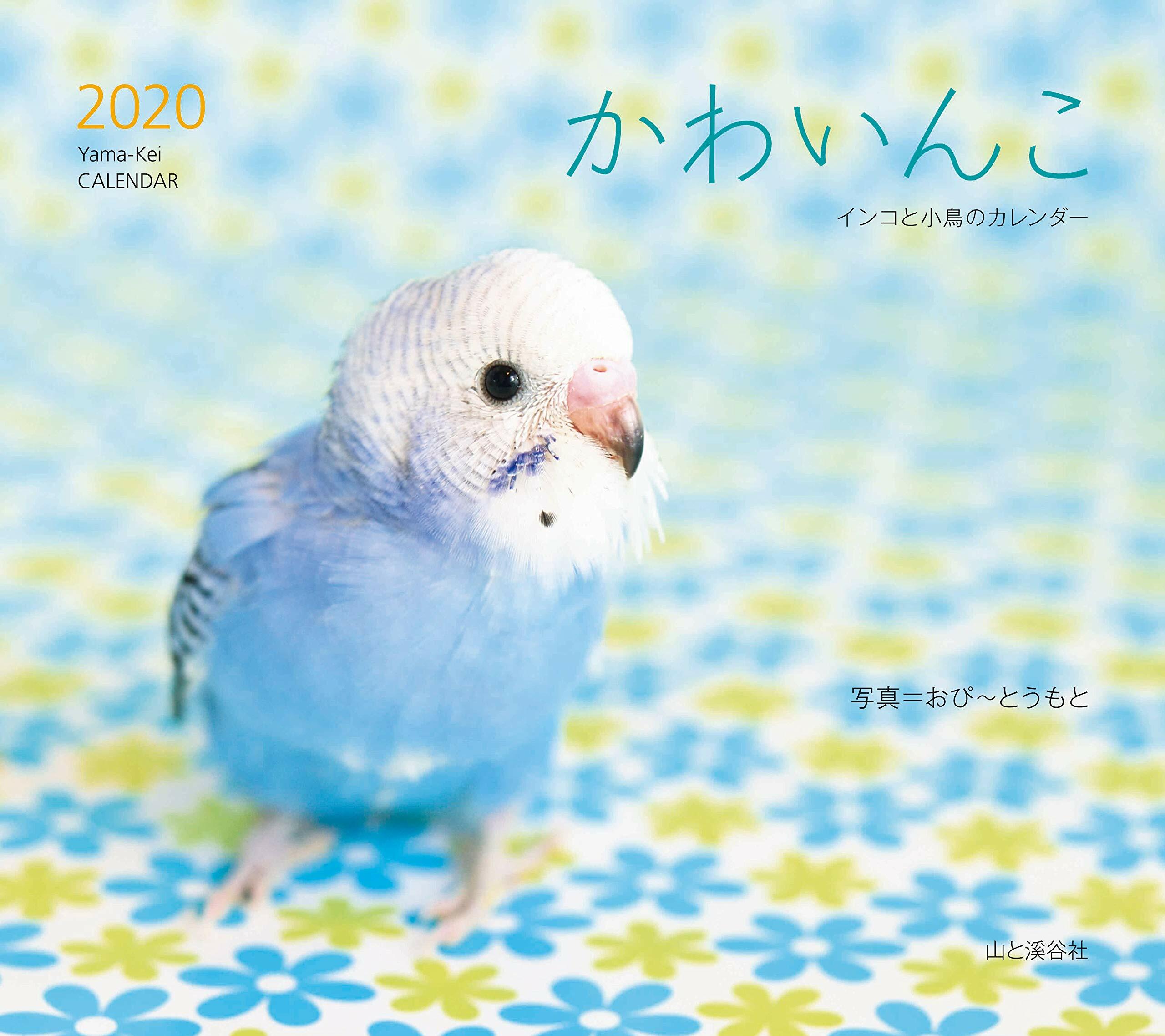 かわいんこ インコと小鳥のカレンダ- (2020)