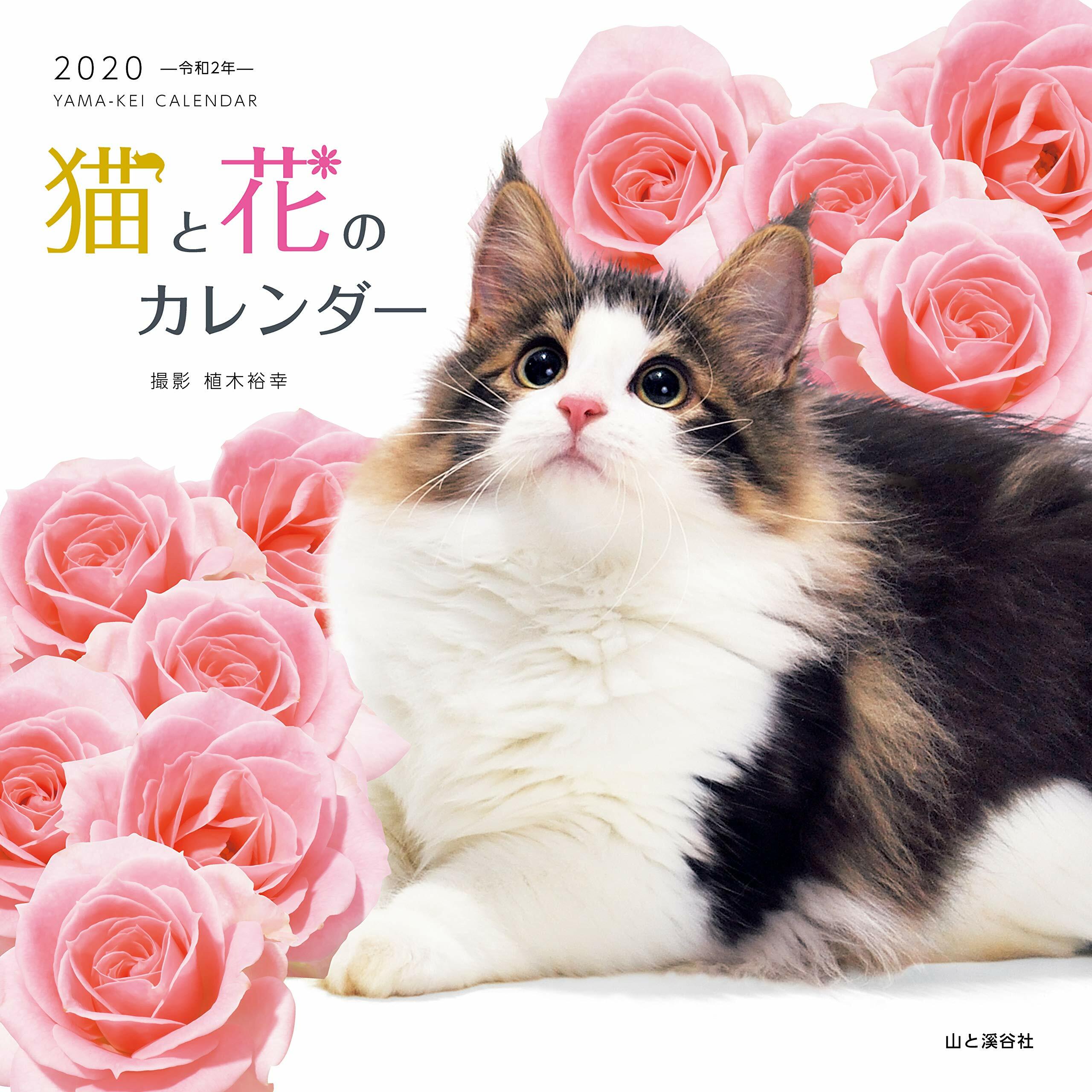 猫と花のカレンダ- (2020)