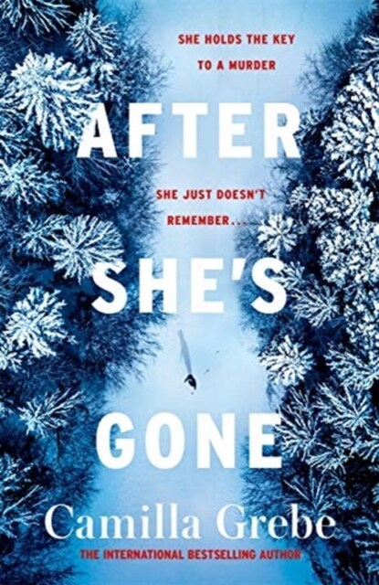 After Shes Gone (Paperback)