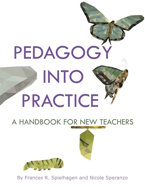Pedagogy into Practice: A Handbook for New Teachers (Paperback)