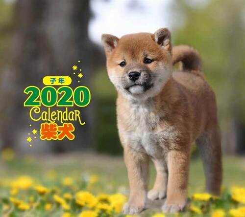 ミニ判カレンダ-柴犬 (2020)