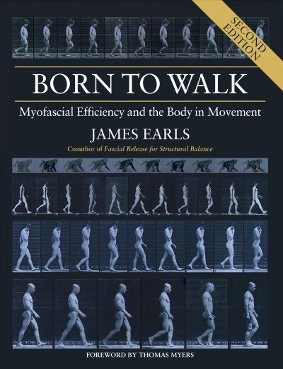 Born to Walk, Second Edition: Myofascial Efficiency and the Body in Movement (Paperback)