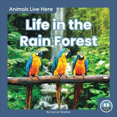 Life in the Rain Forest (Library Binding)