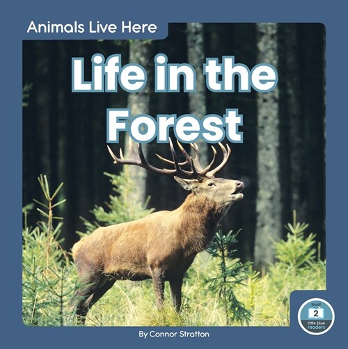 Life in the Forest (Paperback)