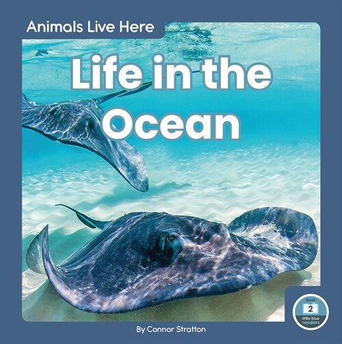 Life in the Ocean (Paperback)