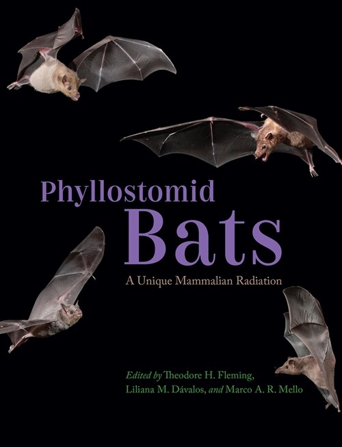 Phyllostomid Bats: A Unique Mammalian Radiation (Hardcover)
