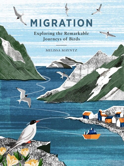 Migration : Exploring the remarkable journeys of birds (Hardcover)