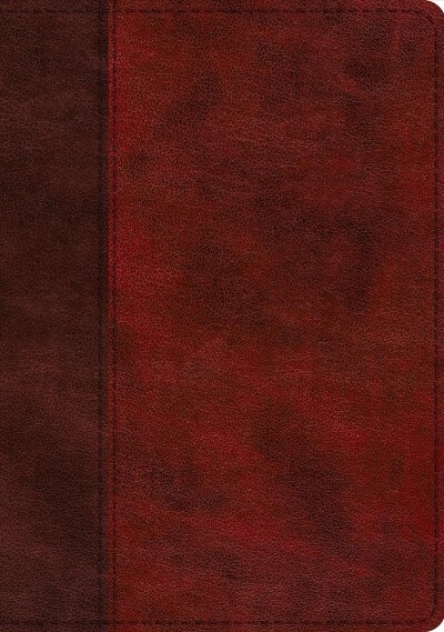 ESV Single Column Journaling Bible, Large Print (Trutone, Burgundy/Red, Timeless Design) (Imitation Leather)