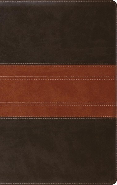 ESV Large Print Personal Size Bible (Trutone, Forest/Tan, Trail Design) (Imitation Leather)