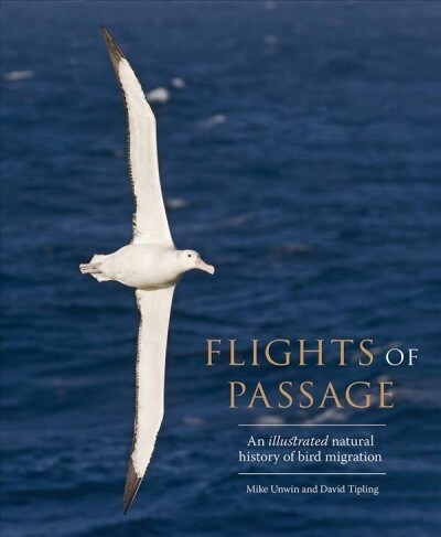 Flights of Passage: An Illustrated Natural History of Bird Migration (Hardcover)