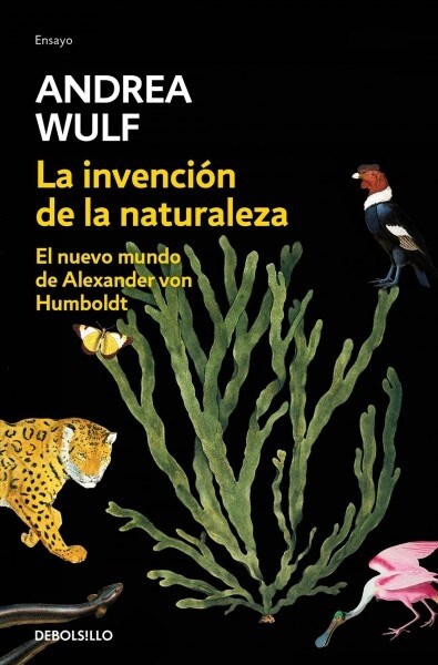 La Invenci? de la Naturaleza: El Nuevo Mundo de Alexander Von Humbolt / The Invention of Nature: Alexander Von Humbolts New World (Paperback)
