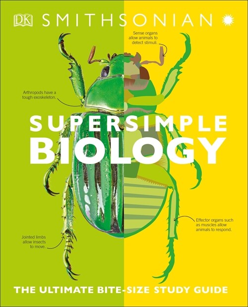 Super Simple Biology: The Ultimate Bitesize Study Guide (Paperback)