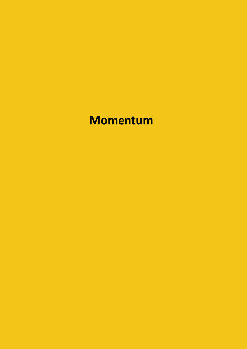 모멘텀 Momentum