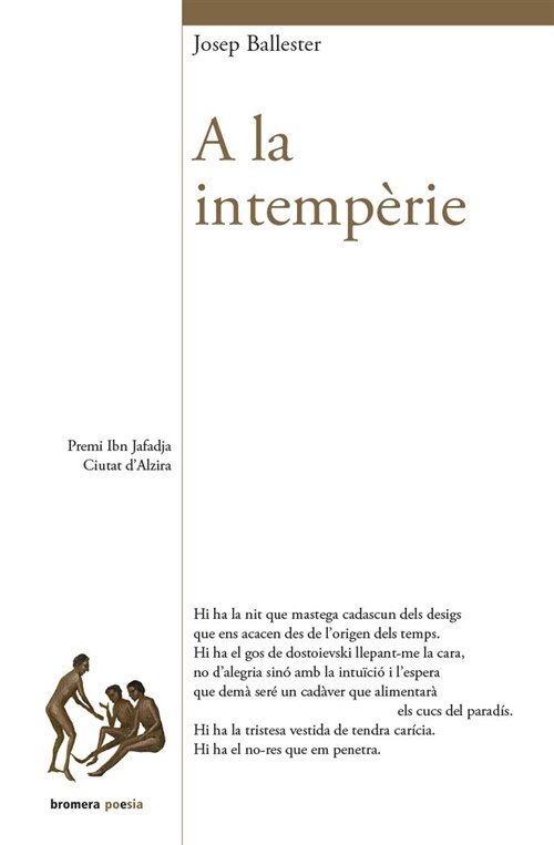 A LA INTEMPERIE (Paperback)