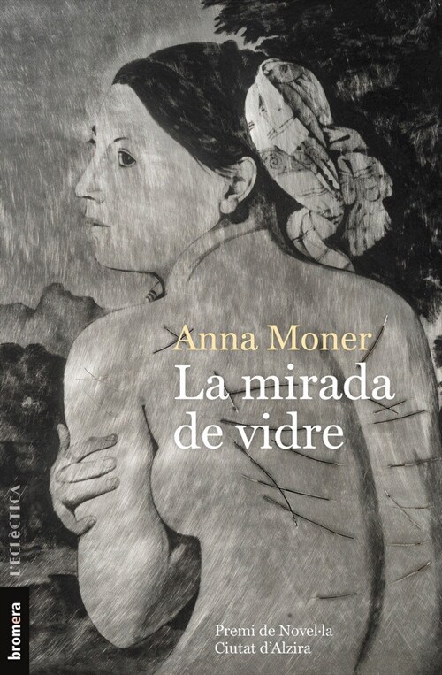 MIRADA DE VIDRE,LA (Paperback)