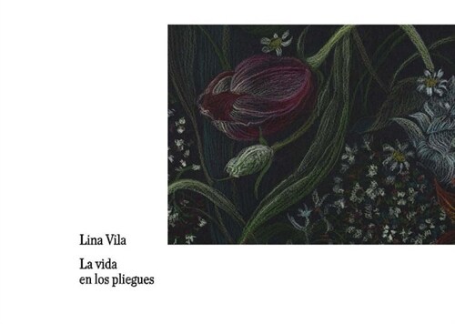 VIDA EN LOS PLIEGUES (Other Book Format)