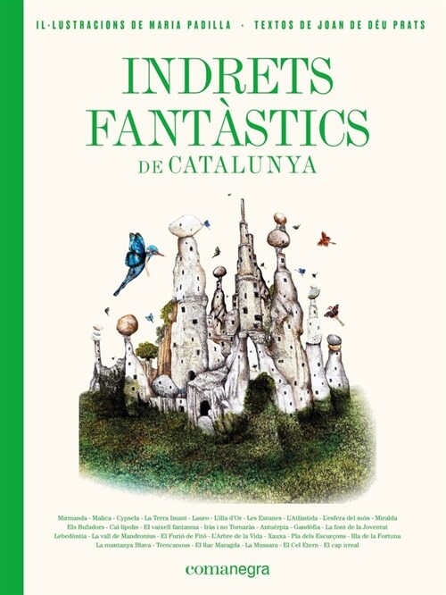 INDRETS FANTASTICS DE CATALUNYA (Paperback)