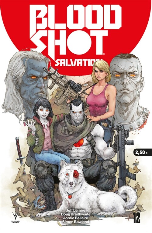 BLOODSHOT SALVATION 12 (Paperback)