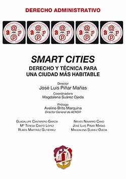 SMART CITIES (Paperback)