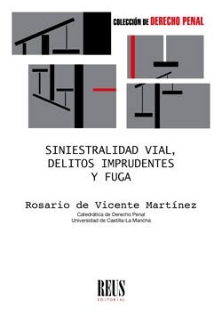 SINIESTRALIDAD VIAL, DELITOS DE IMPRUDENCIA Y FUGA (Paperback)