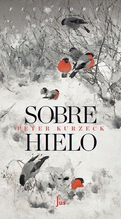 SOBRE HIELO (Paperback)