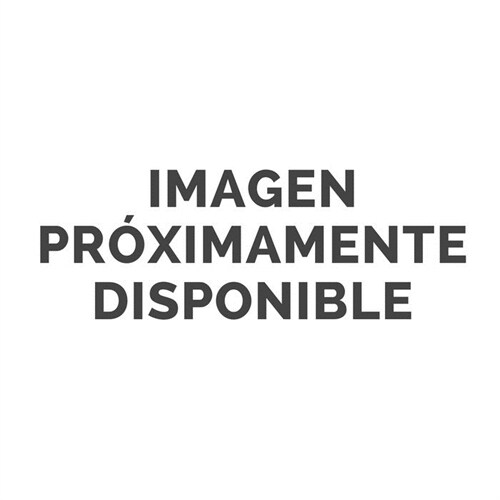 AGENDA ANUAL DIA/PAGINA 2020 MODERNA DE PUEBLO (Hardcover)