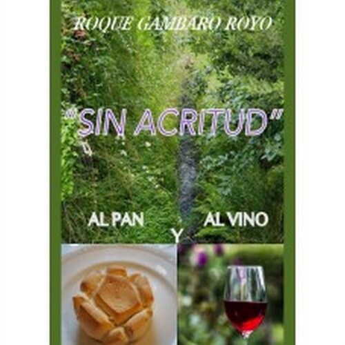 SIN ACRITUD (Paperback)